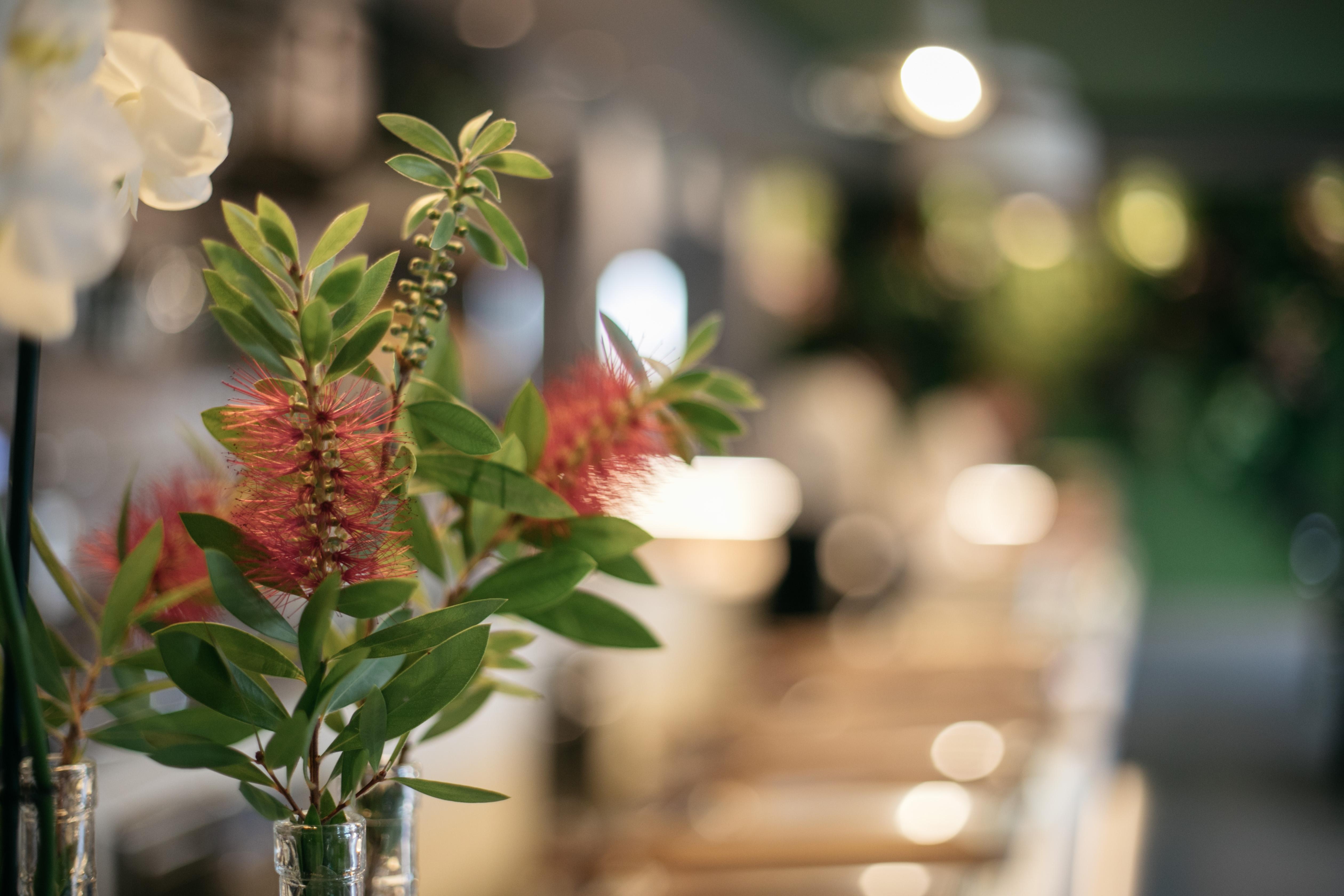 Hotel Aloisi レッチェ エクステリア 写真